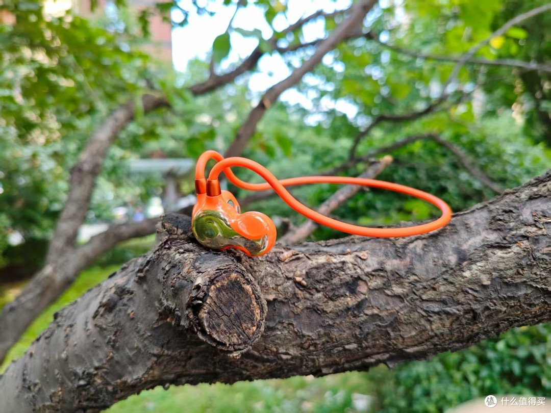 秋天晨跑的快乐,是雷登F5开放式蓝牙耳机给的