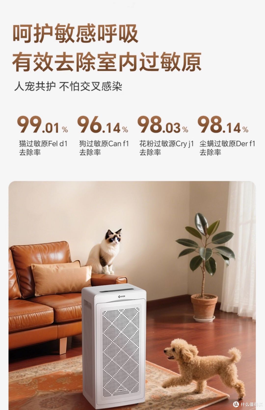 新颐 A8:大空间空气「深度净化工程师」,破解复杂场景呼吸难题