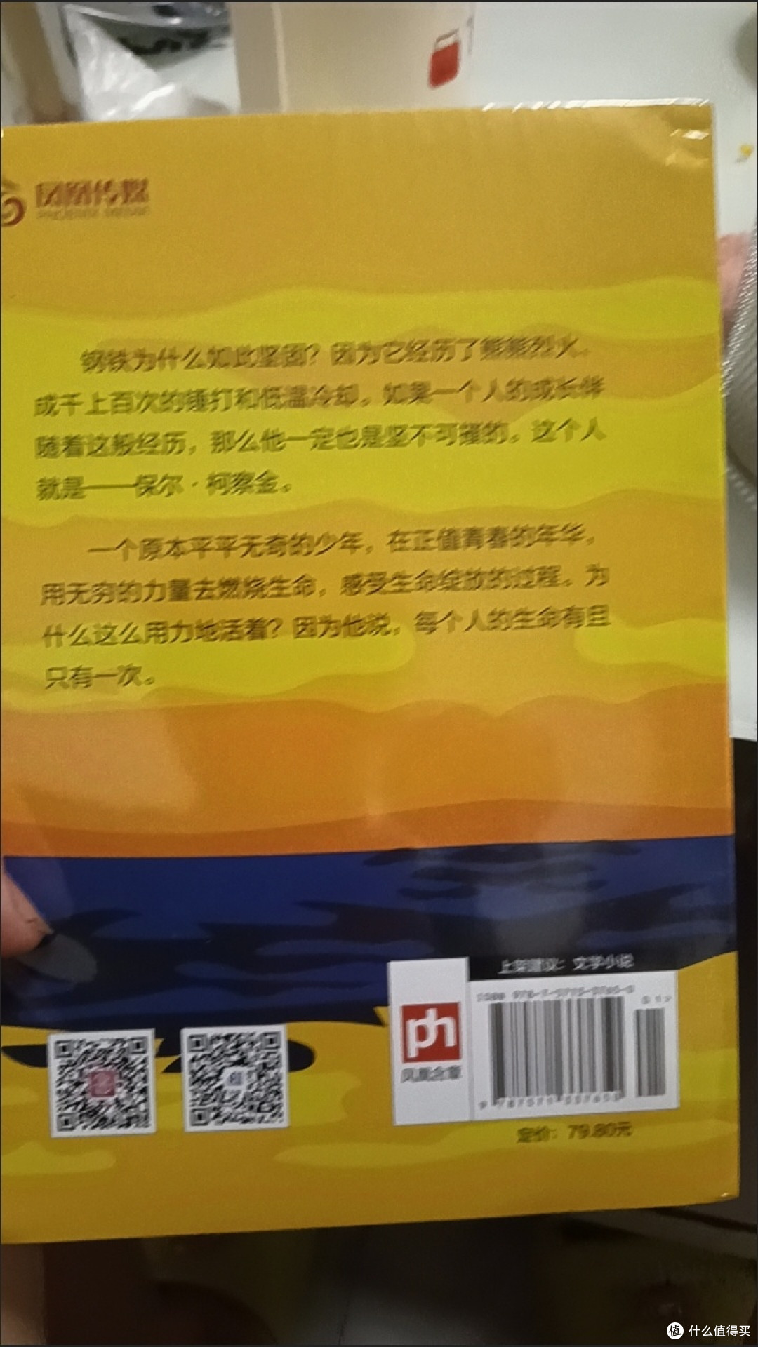 《钢铁是怎样炼成的》:淬炼灵魂的精神史诗