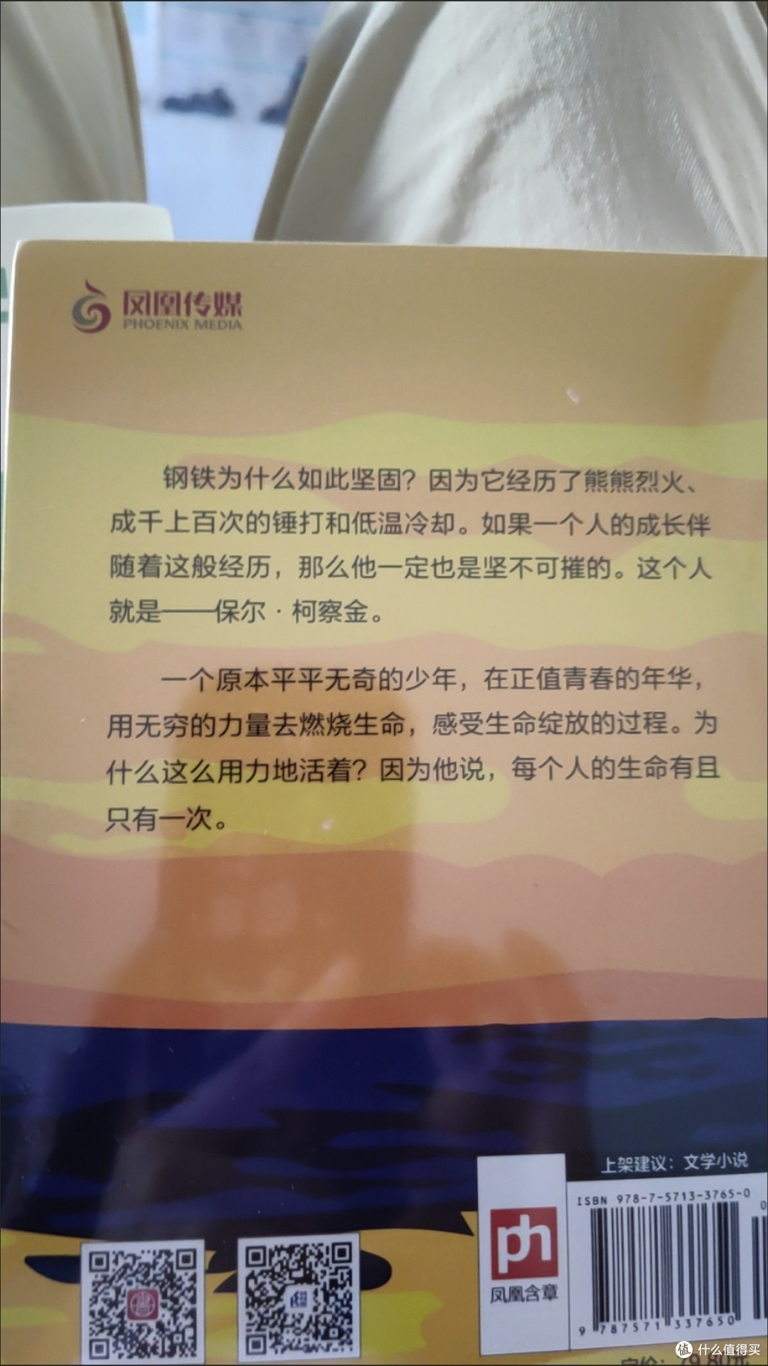 《钢铁是怎样炼成的》:淬炼灵魂的精神史诗