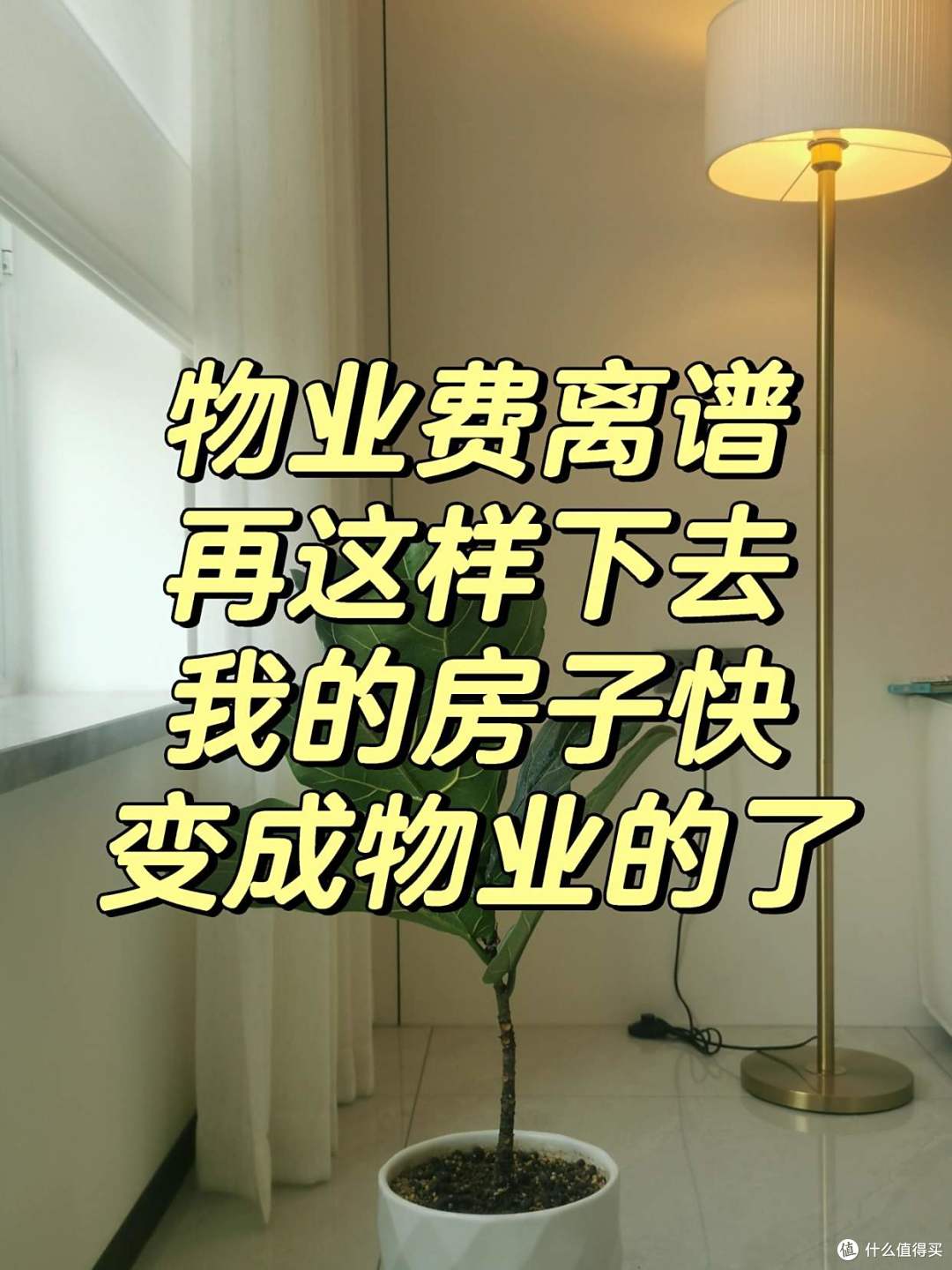 有一种痛苦叫买了“大平层”，缺点太多了，已经彻底沦为不动产！