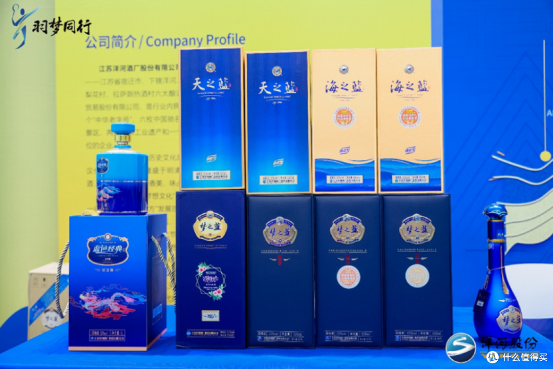 洋河“羽梦同行”2025羽球联赛昌平站圆满收官!