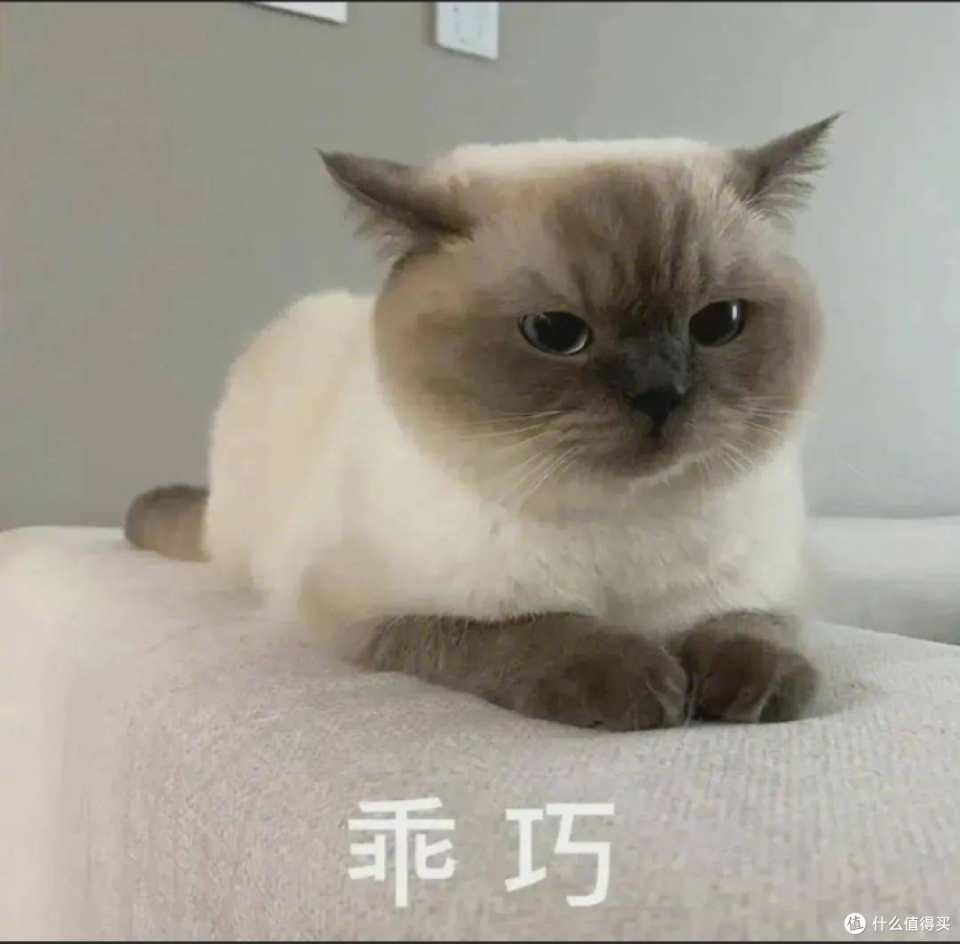 请勿盗图