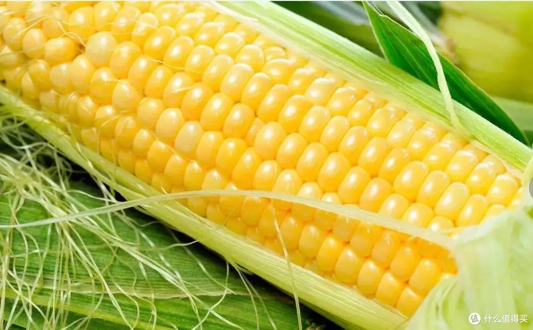 拯救 “掉发星人”!常吃这12种天然食物,头发越养越茂密