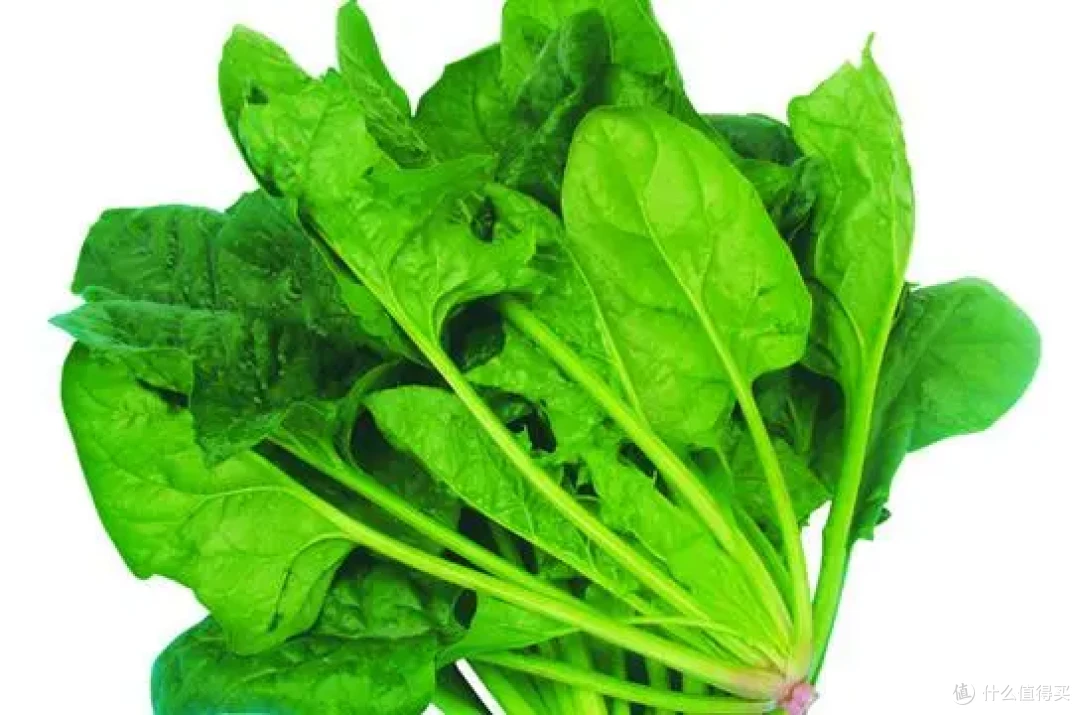 拯救 “掉发星人”!常吃这12种天然食物,头发越养越茂密