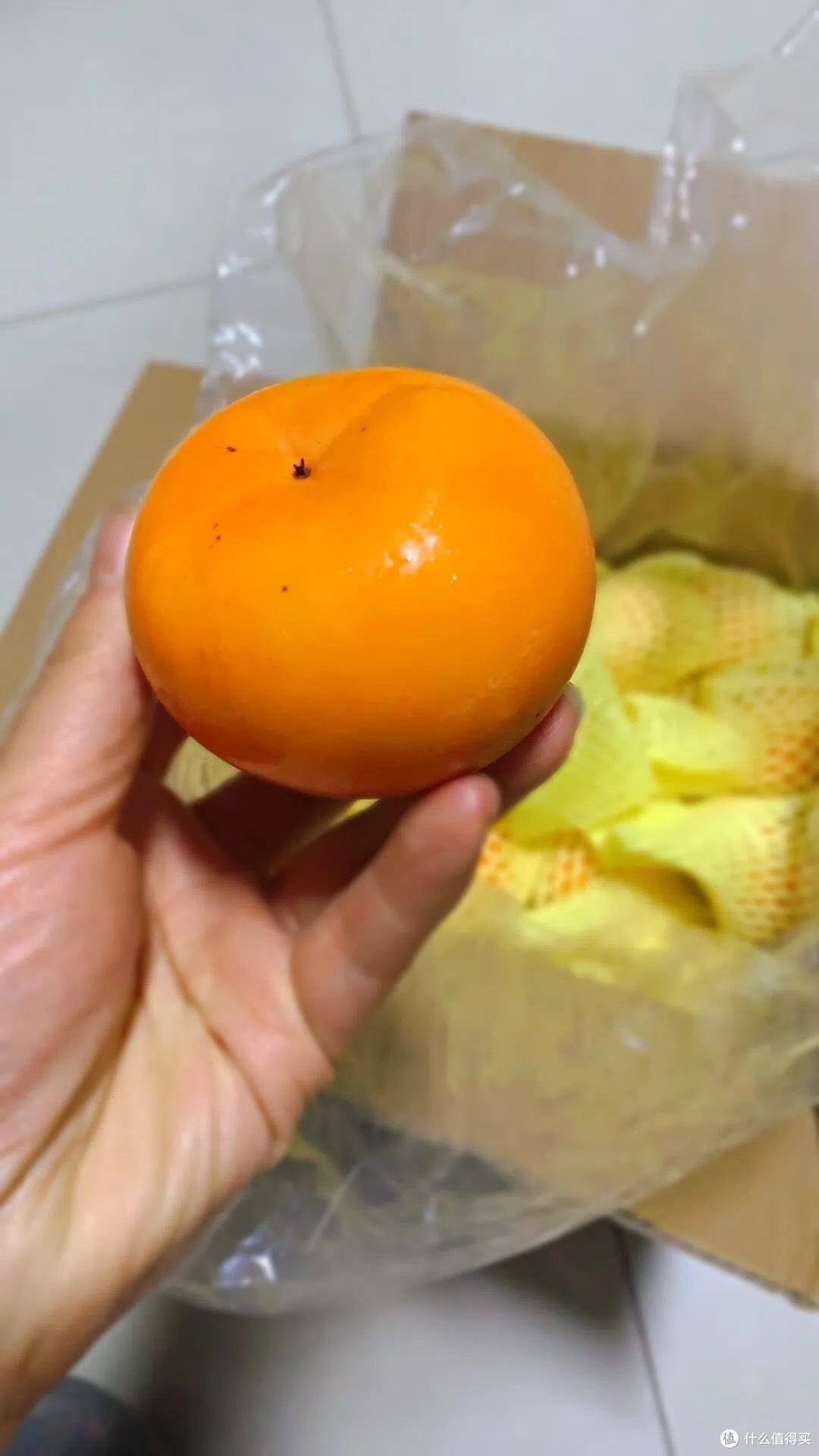 秋风起吃柿子,我喜欢的脆柿甜脆多汁太美味啦