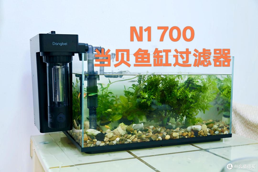 养鱼小白的福音当贝鱼缸过滤器N1 700体验:轻松开启养鱼治愈之旅
