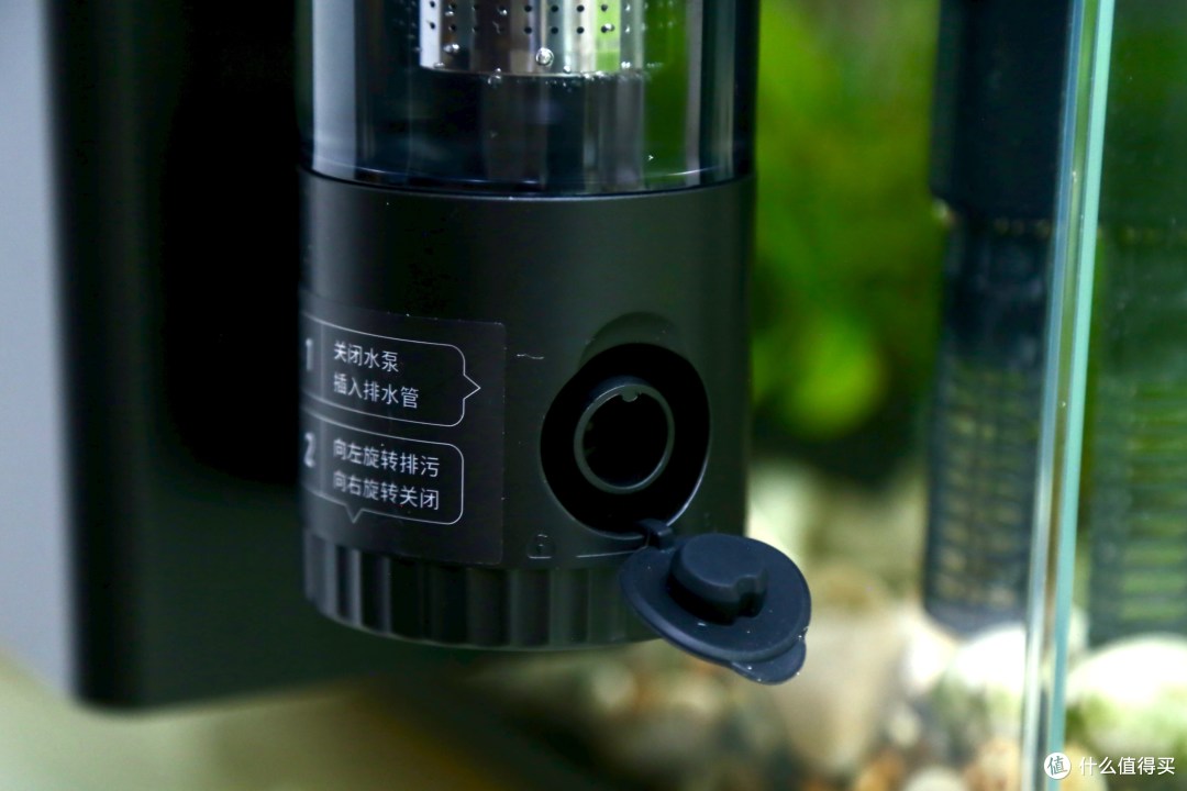 养鱼小白的福音当贝鱼缸过滤器N1 700体验:轻松开启养鱼治愈之旅