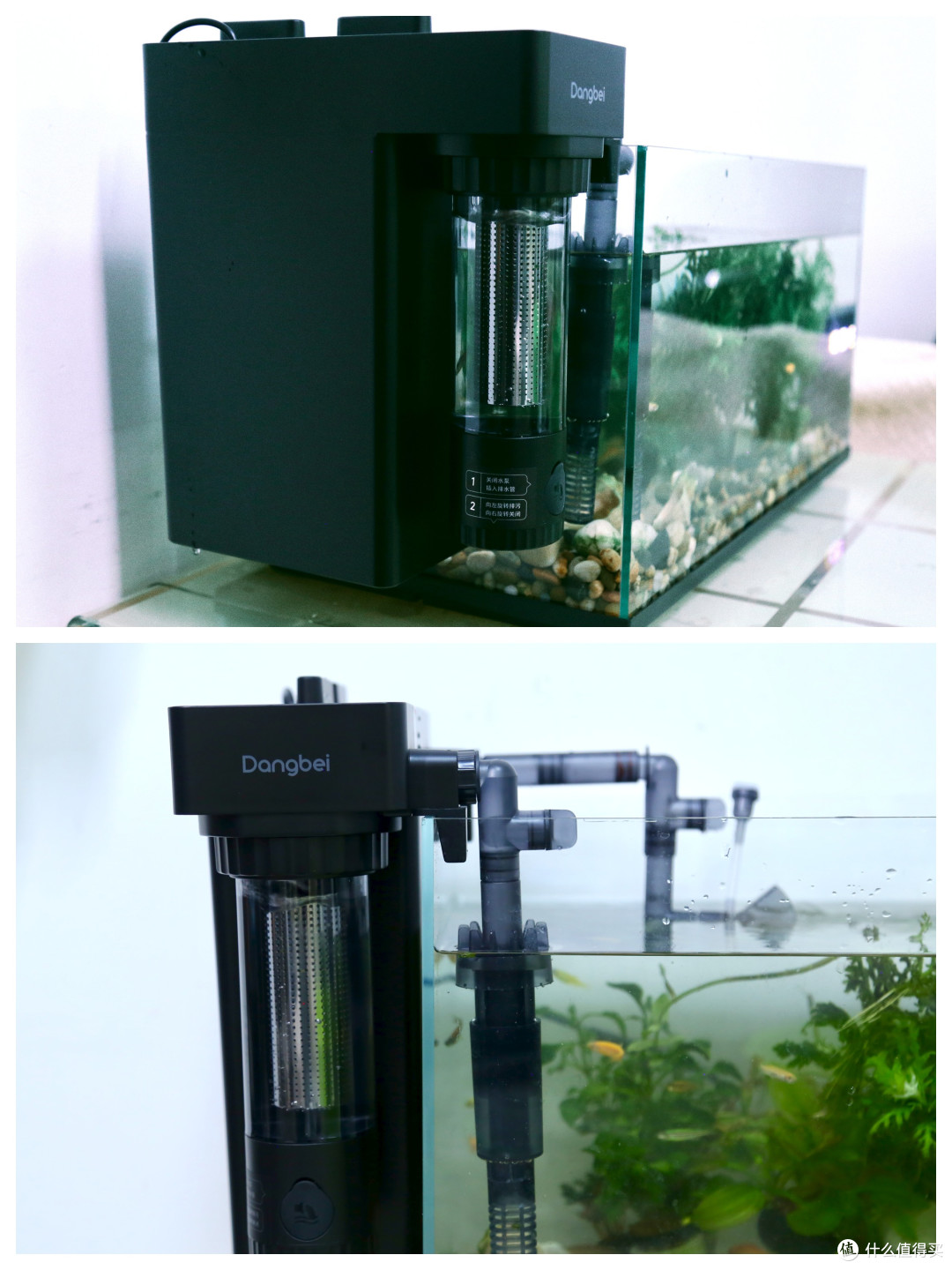 养鱼小白的福音当贝鱼缸过滤器N1 700体验:轻松开启养鱼治愈之旅
