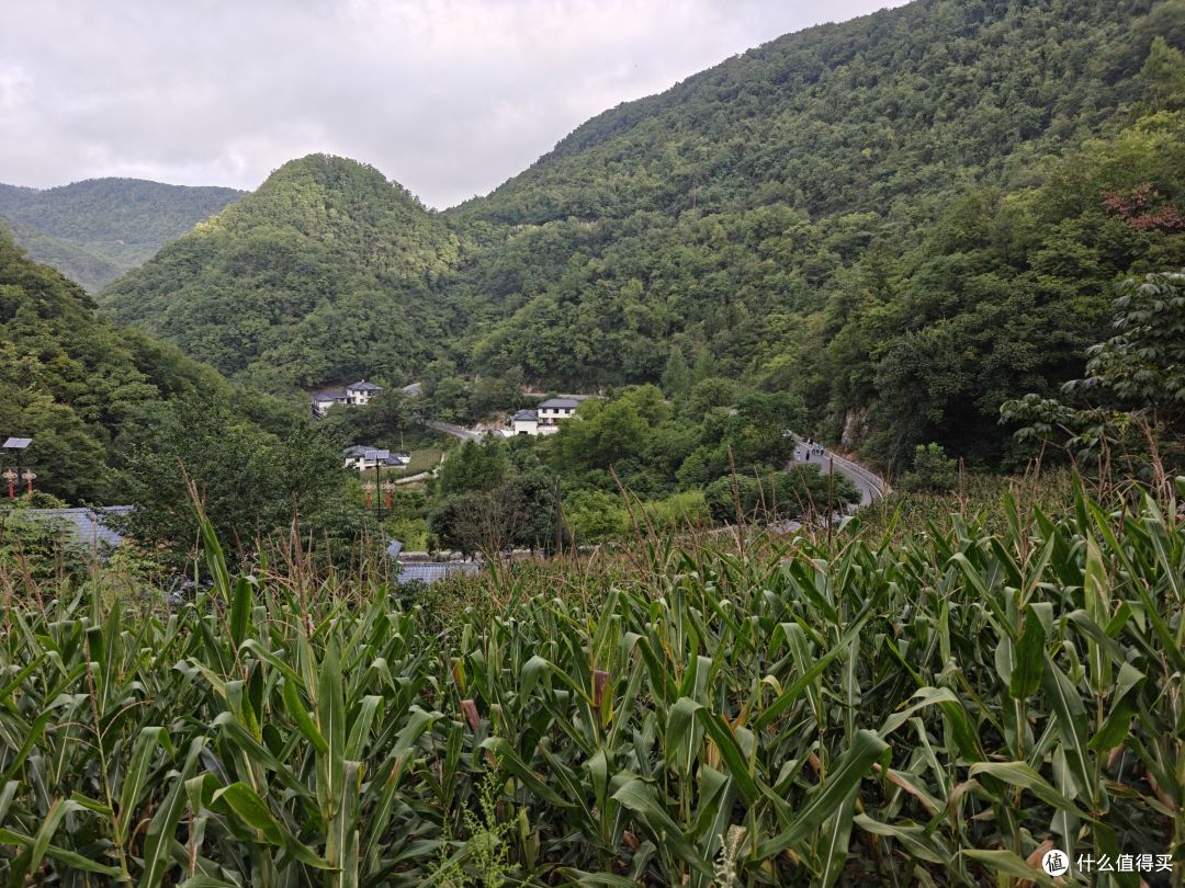 6年以后再上越野赛道,还是距离更长的50km,有很多话想跟大家说