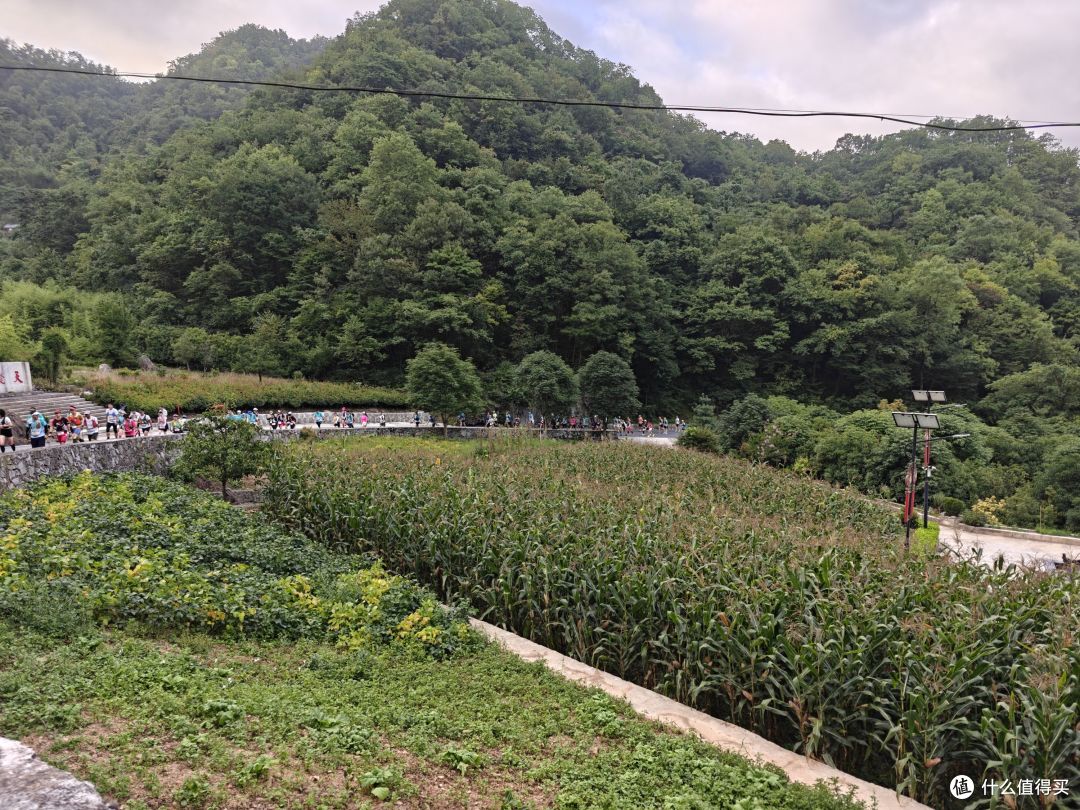 6年以后再上越野赛道,还是距离更长的50km,有很多话想跟大家说