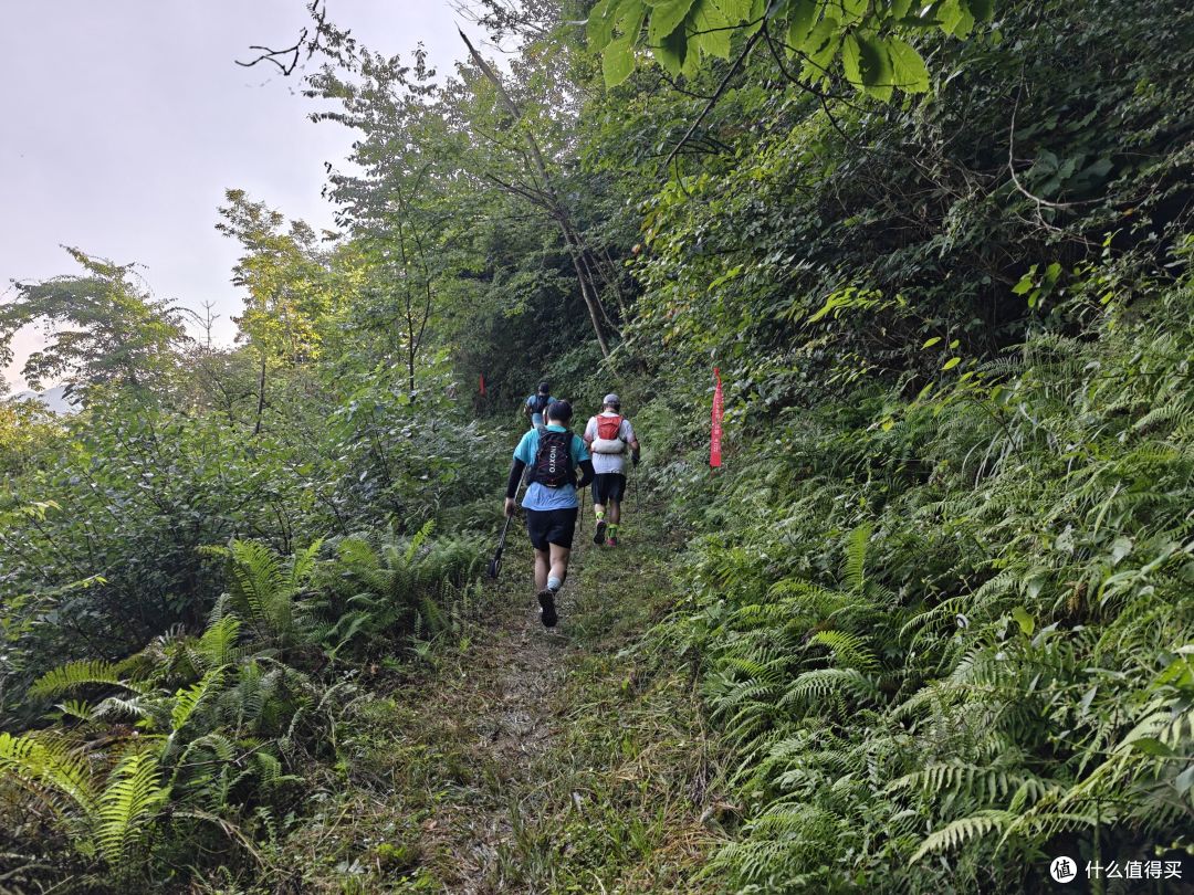 6年以后再上越野赛道,还是距离更长的50km,有很多话想跟大家说