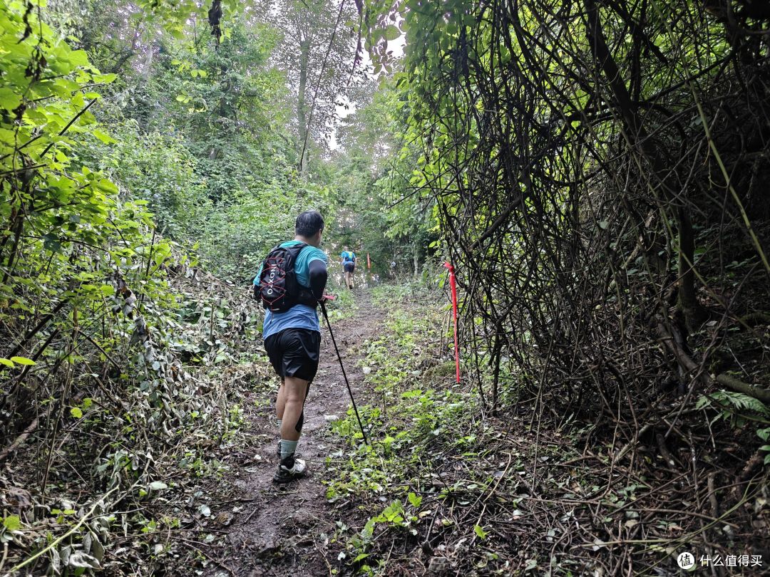 6年以后再上越野赛道,还是距离更长的50km,有很多话想跟大家说