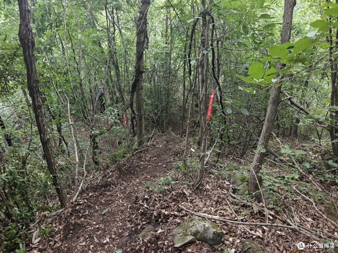 6年以后再上越野赛道,还是距离更长的50km,有很多话想跟大家说