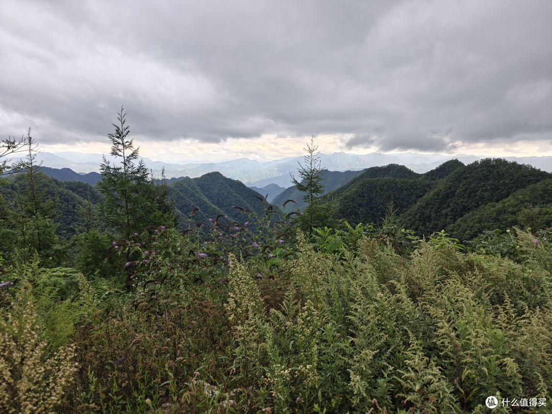 6年以后再上越野赛道,还是距离更长的50km,有很多话想跟大家说