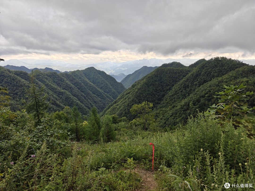6年以后再上越野赛道,还是距离更长的50km,有很多话想跟大家说
