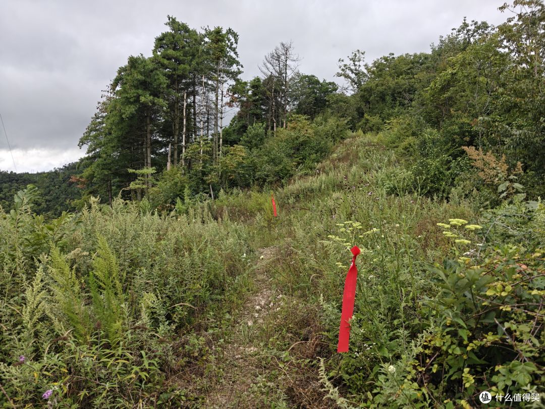 6年以后再上越野赛道,还是距离更长的50km,有很多话想跟大家说
