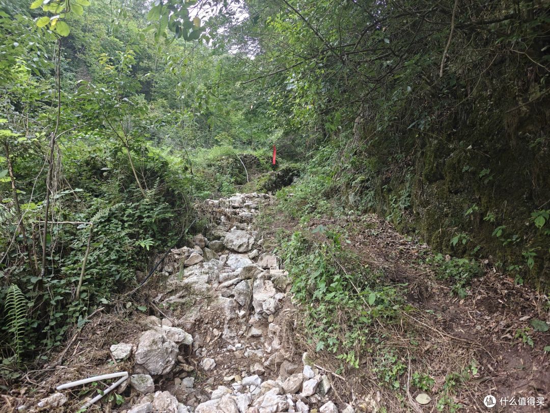 6年以后再上越野赛道,还是距离更长的50km,有很多话想跟大家说