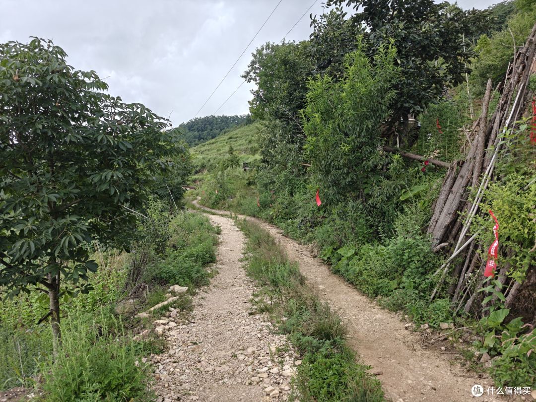 6年以后再上越野赛道,还是距离更长的50km,有很多话想跟大家说