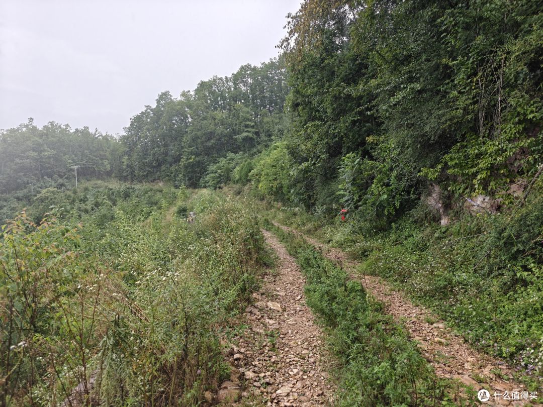 6年以后再上越野赛道,还是距离更长的50km,有很多话想跟大家说