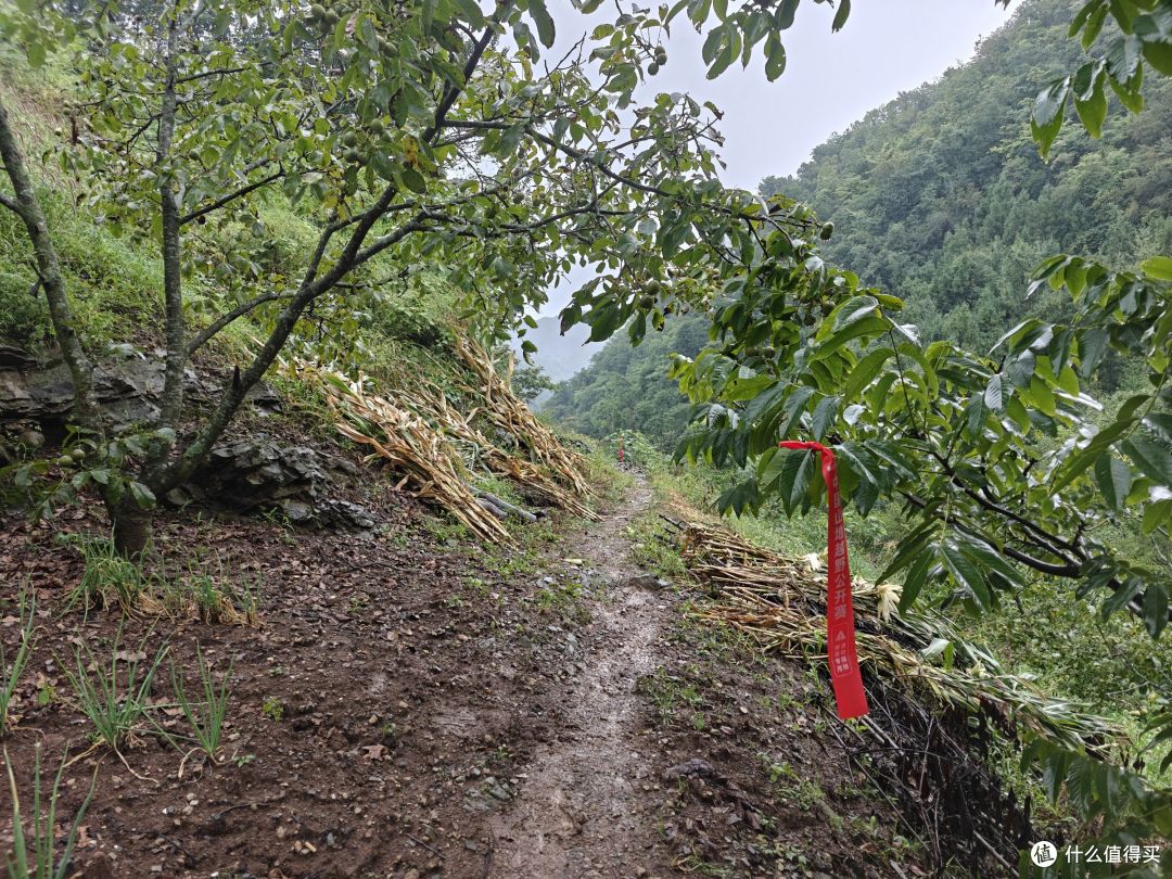 6年以后再上越野赛道,还是距离更长的50km,有很多话想跟大家说