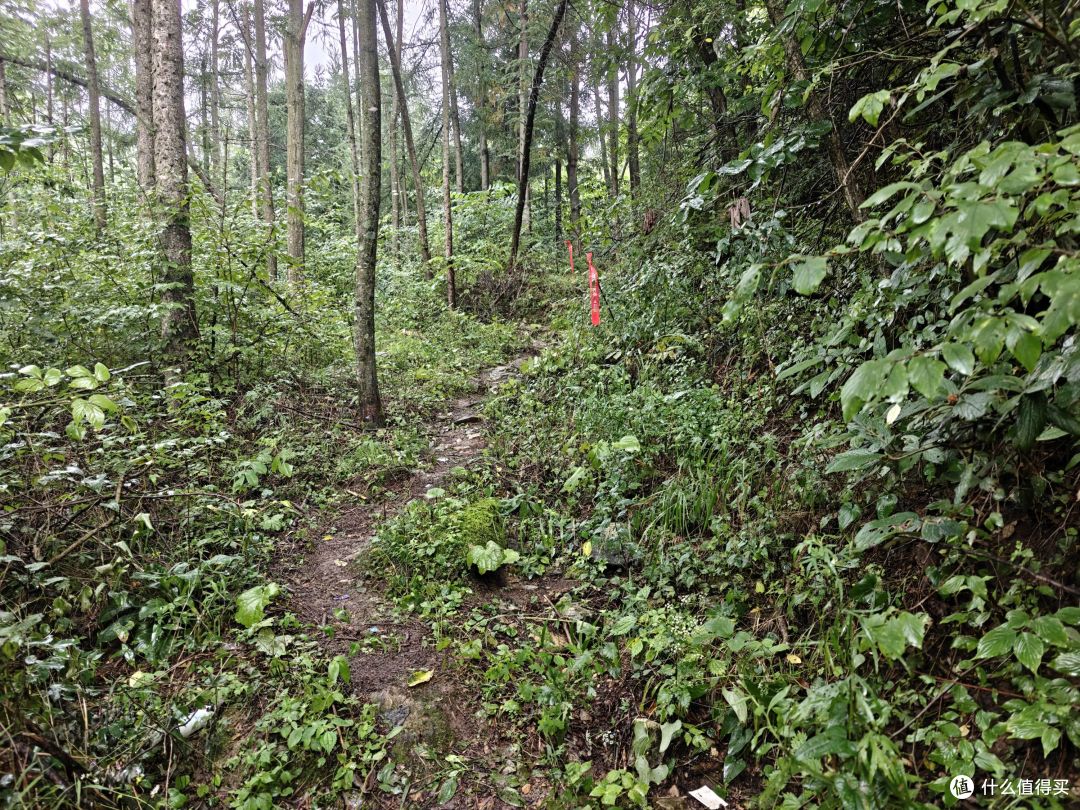 6年以后再上越野赛道,还是距离更长的50km,有很多话想跟大家说