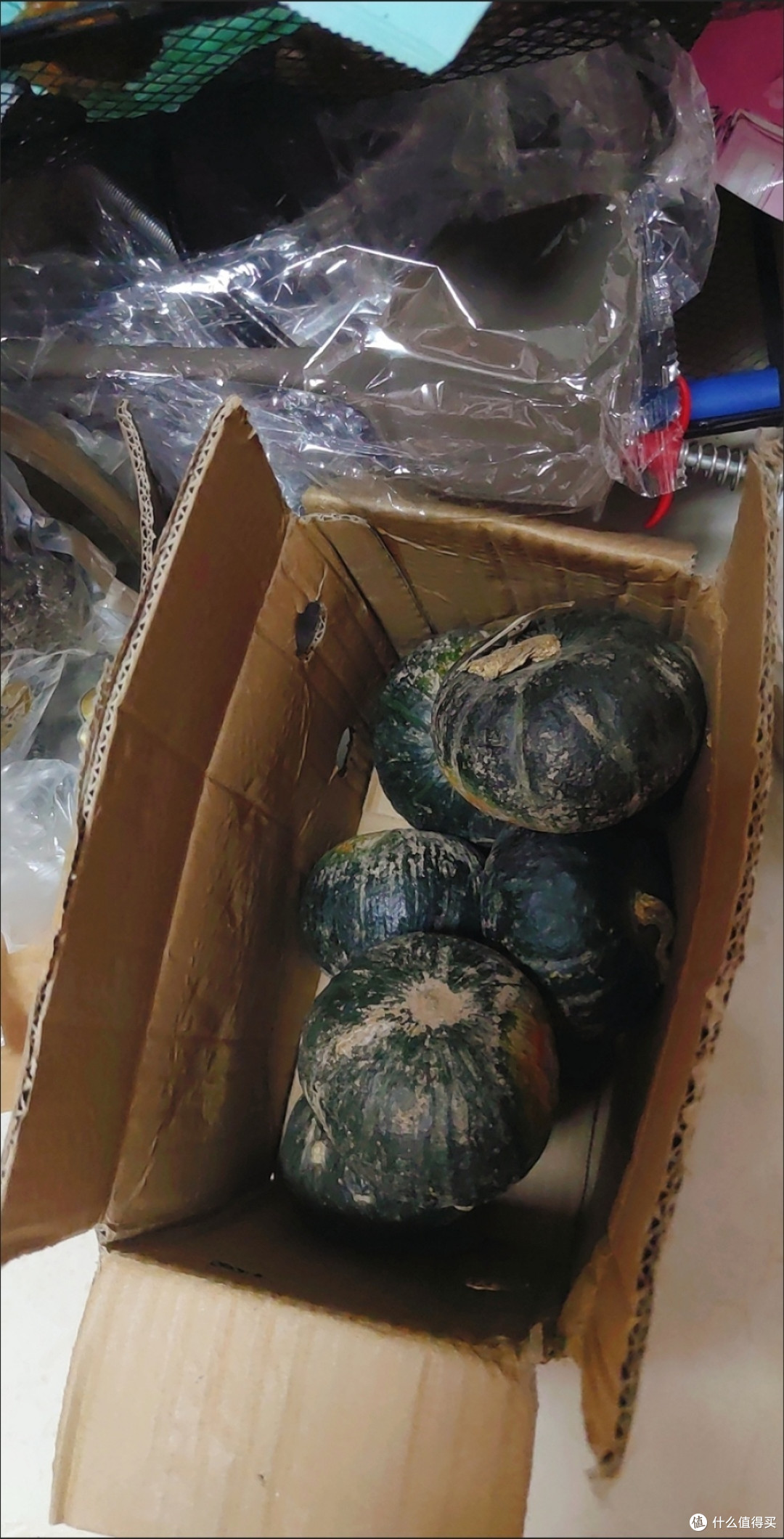 正宗贝贝南瓜粉糯香甜,老人孩子都喜欢