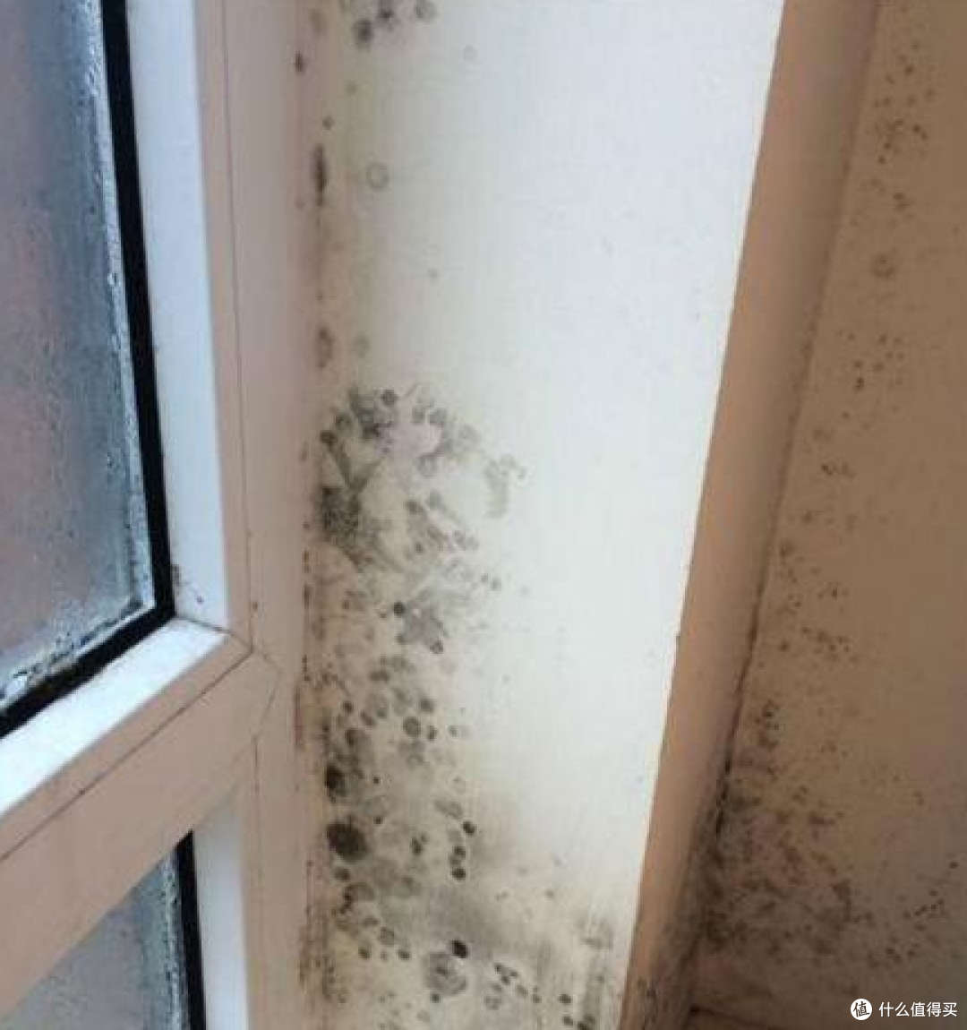 夏天潮气、霉点拜拜攻略:花小钱除潮防霉,这些方法真管用!