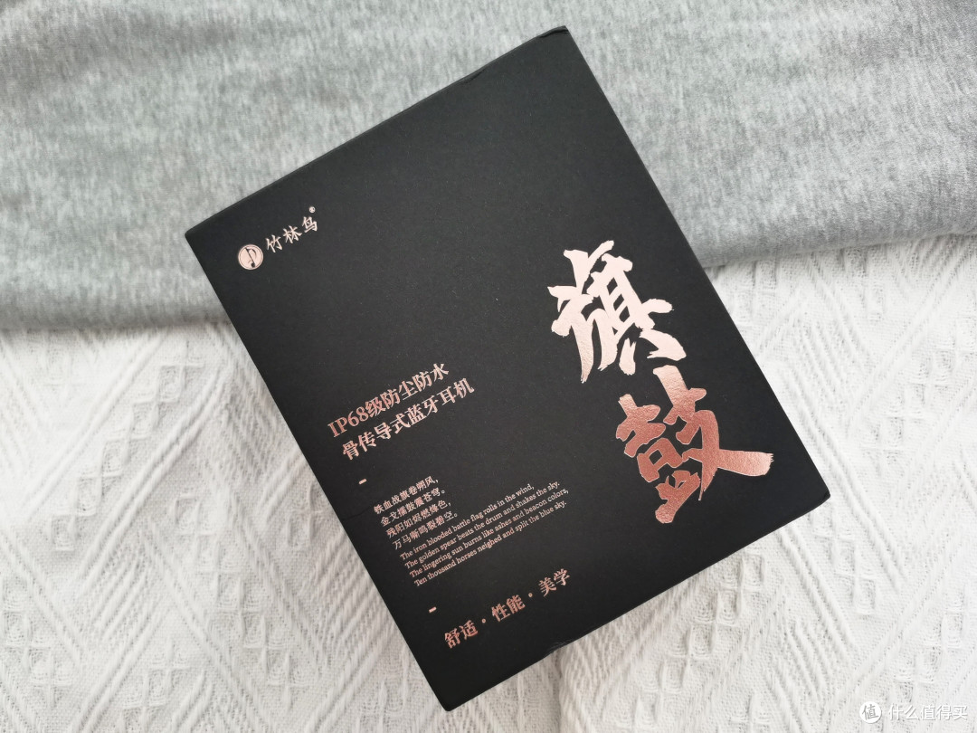 我的运动好伴侣,竹林鸟旗鼓 X9 HiFi旗舰级别骨传导耳机体验分享