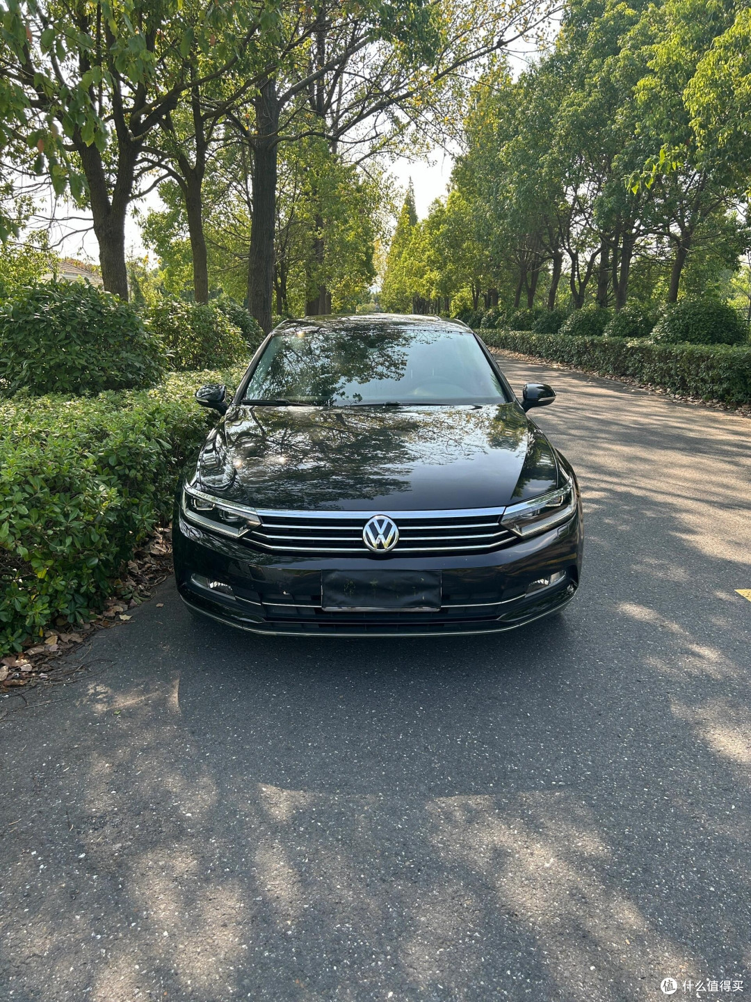 25万选迈腾380TSI,实用与品质兼得