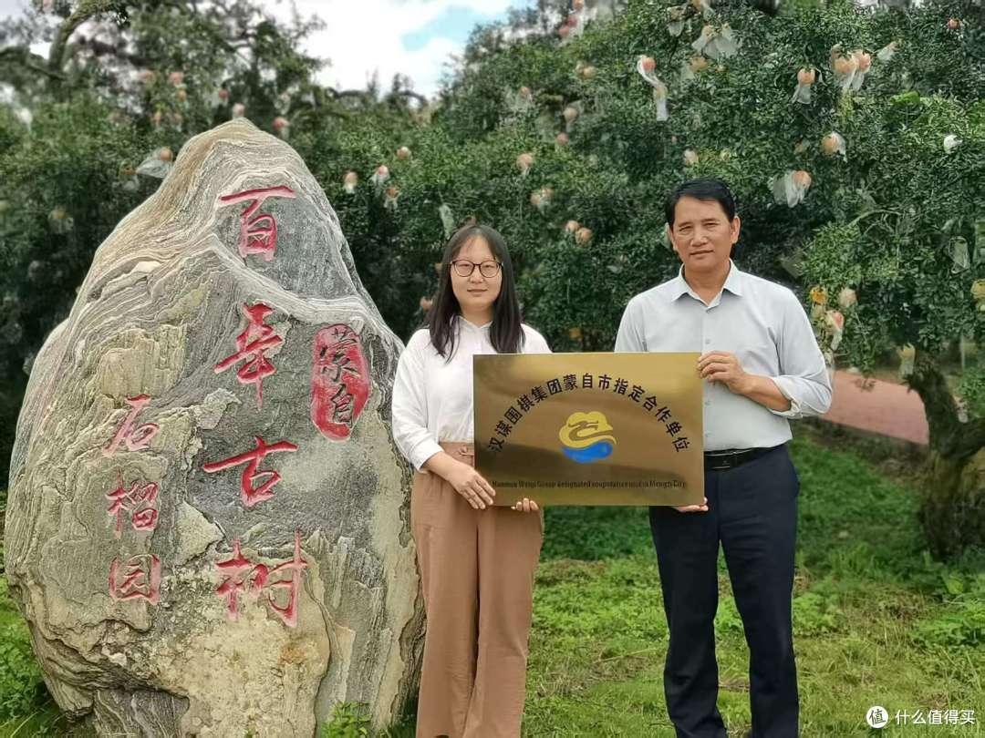 汉谋围棋跨界授牌,百年古树石榴焕新机