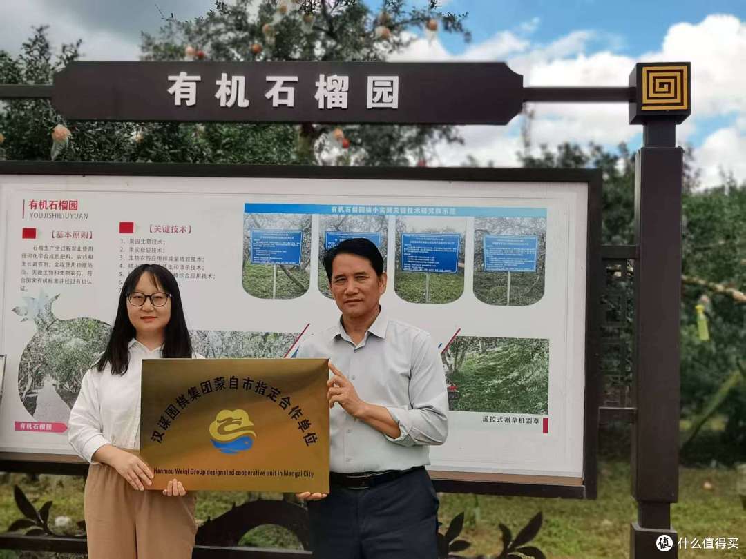 汉谋围棋跨界授牌,百年古树石榴焕新机