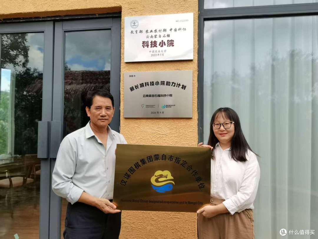汉谋围棋跨界授牌,百年古树石榴焕新机
