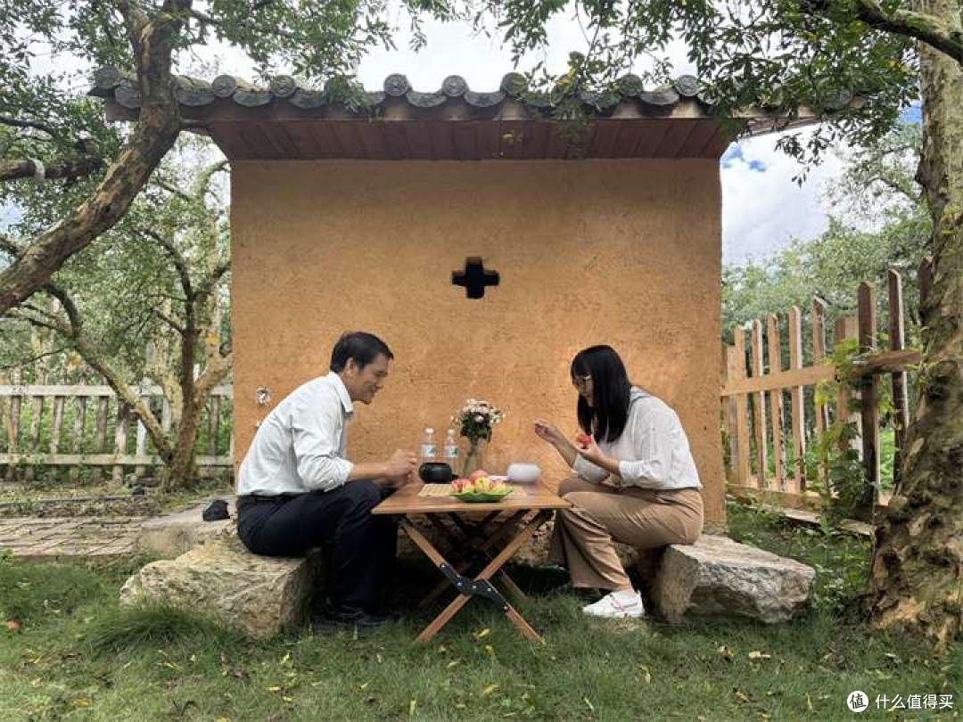 汉谋围棋跨界授牌,百年古树石榴焕新机