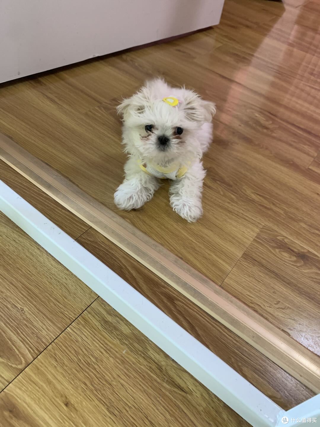 小时候刚接回来有泪痕真的很影响颜值