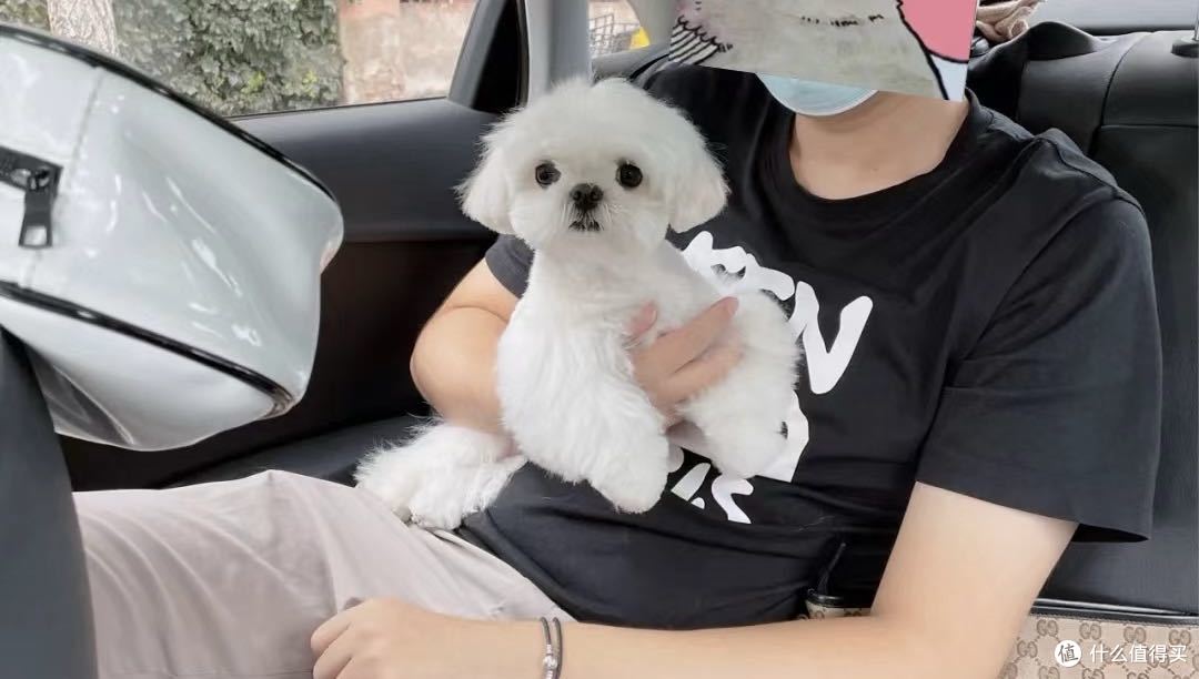 短装小马也是很可爱的