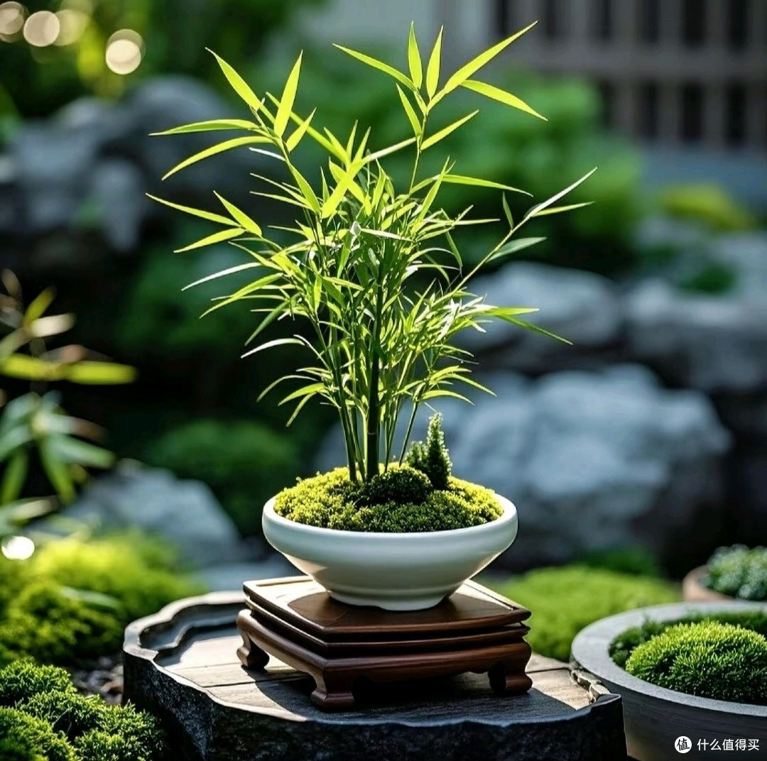 绿意盎然的居家氧吧：植物墙与空气净化器结合，打造健康呼吸环境