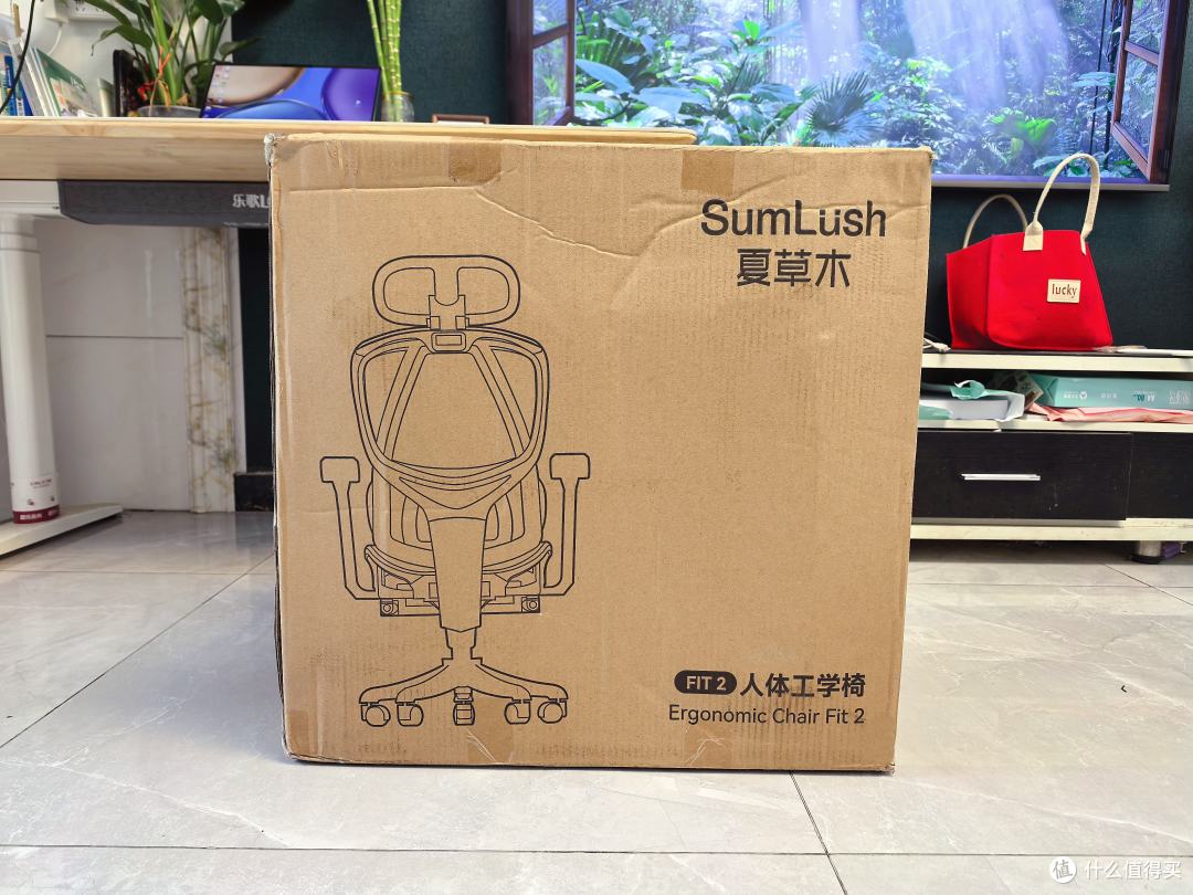 打工人贴心搭子!久坐党的福音,SumLush夏草木Fit2人体工学椅