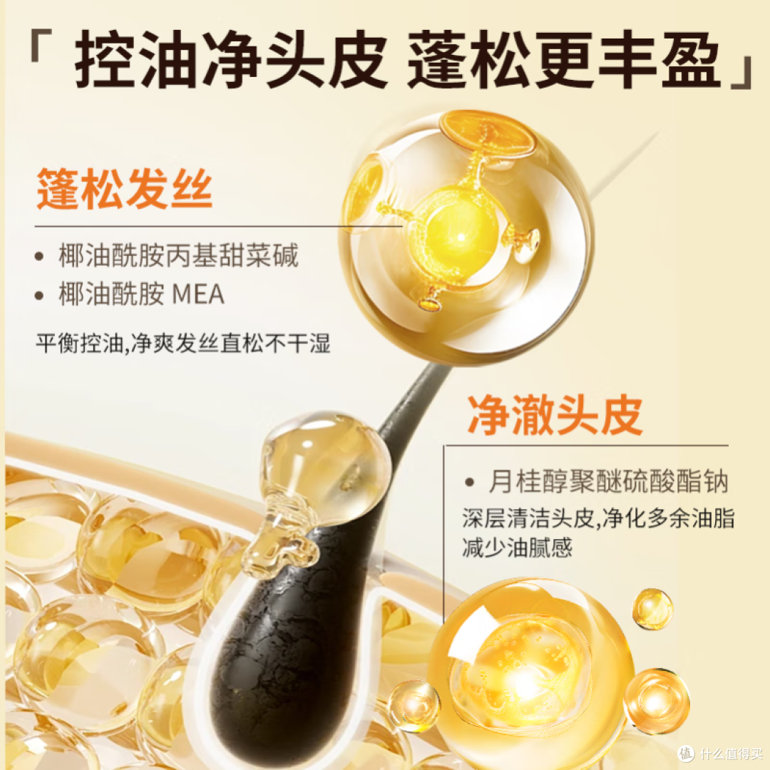 控油洗发水哪个牌子好?2025 实测推荐,长效清爽