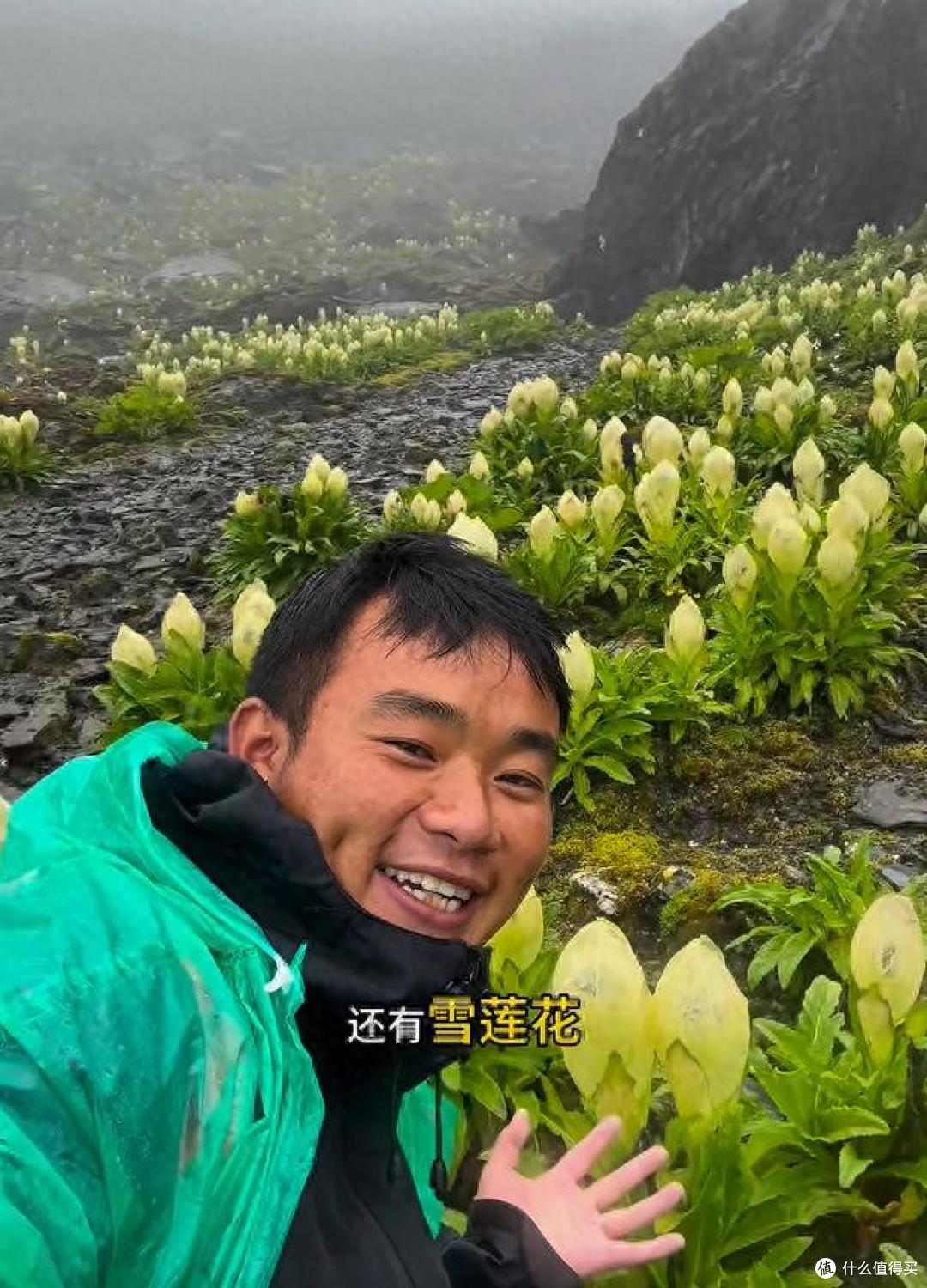 男子晒“喜马拉雅山脉的雪莲花”，长于海拔4800米处，太震撼了~