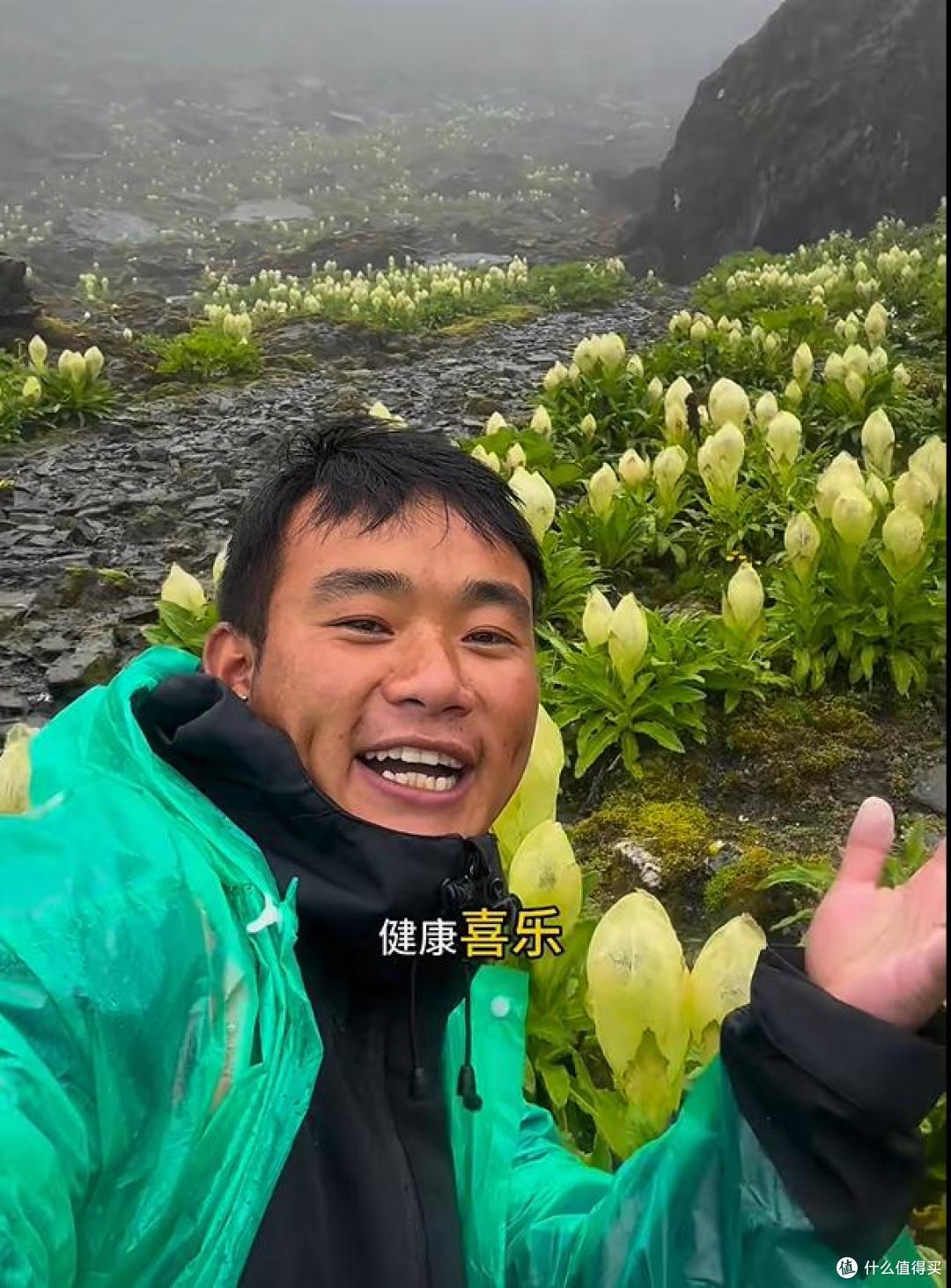 男子晒“喜马拉雅山脉的雪莲花”，长于海拔4800米处，太震撼了~