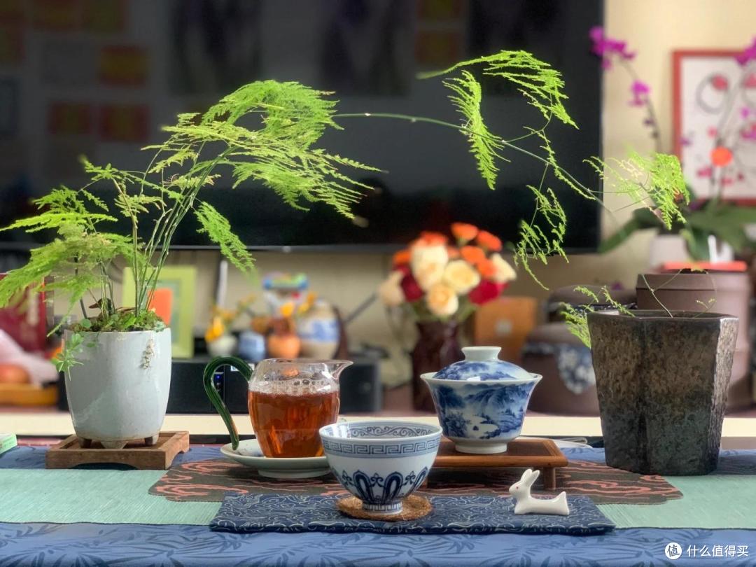2025年闭眼入茶叶品牌清单，新手入门小白也能轻松喝到好茶！