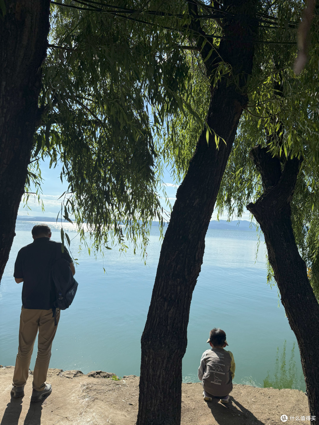 把树叶漂到对岸的话题提升到了量子观察层面，现在小孩子懂得太多了
