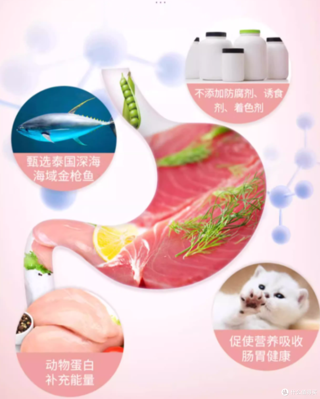 这罐头把我家挑食怪治得服服帖帖!