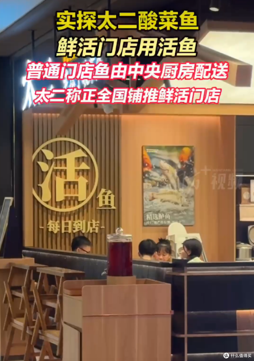 西贝贾国龙,活在“信息茧房”中,还连累了中国餐饮业