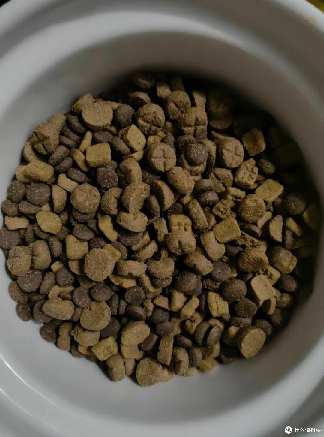 新手铲屎官必看:狗狗偏瘦吃什么狗粮好?实用推荐不踩雷