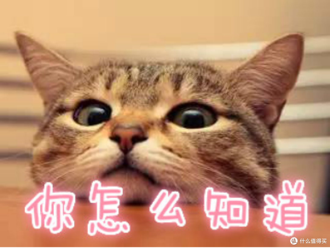 剃须刀哪个牌子的好?10个最好用最耐用的机型推荐,怎样选择?