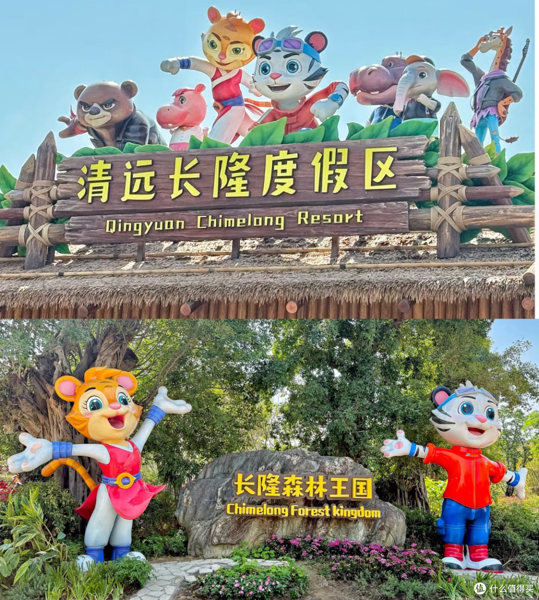 清远长隆周末亲子游:广州出发的探索野生动物之旅