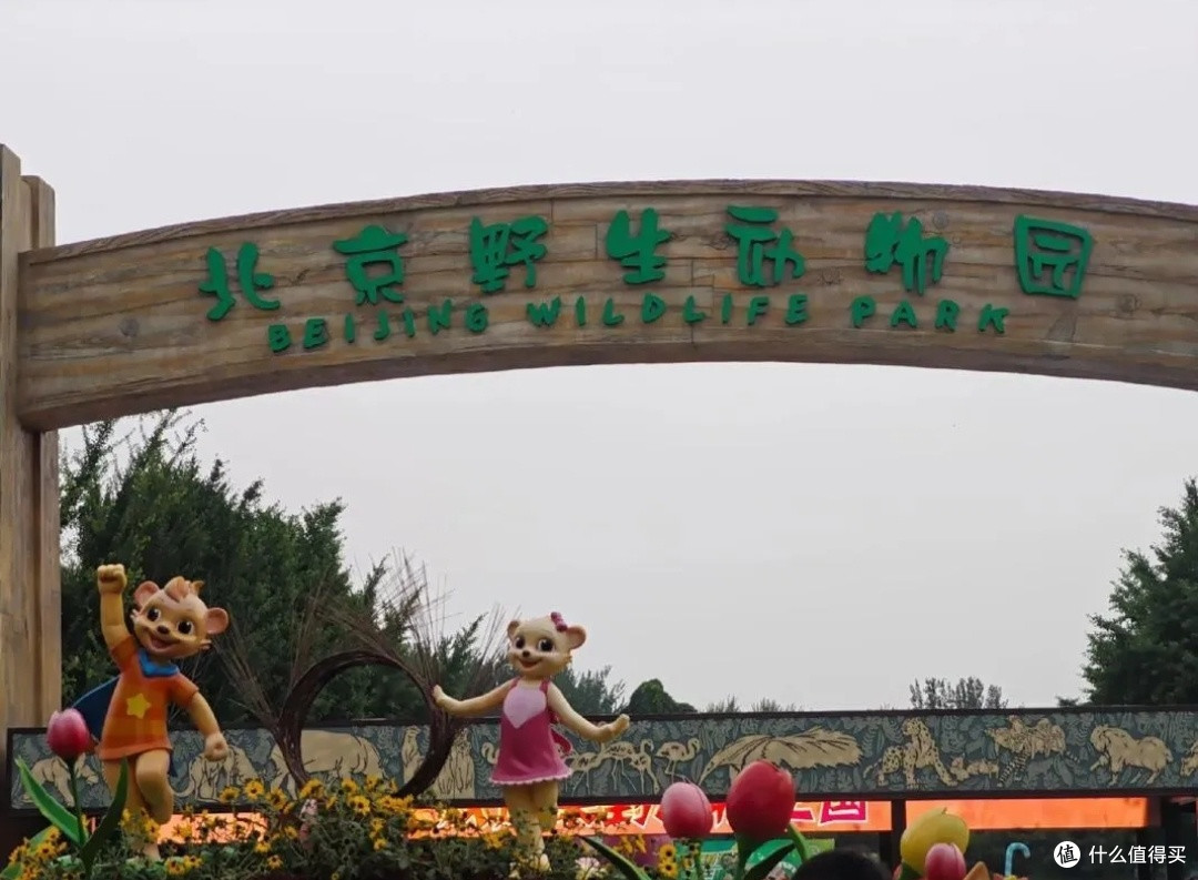 周末带娃逛北京野生动物园:好玩还想再来