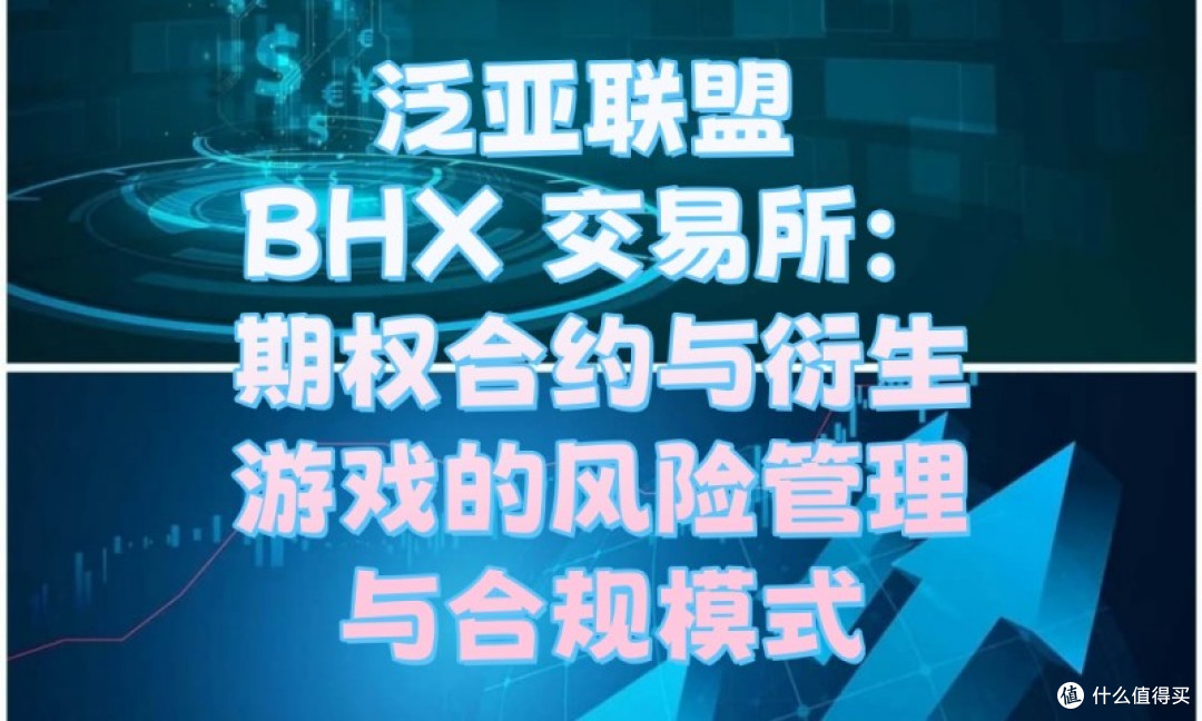 泛亚联盟 BHX 交易所：期权合约与衍生游戏的风险管理与合规模式